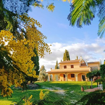 La Doganella Villa Pitigliano Exterior foto