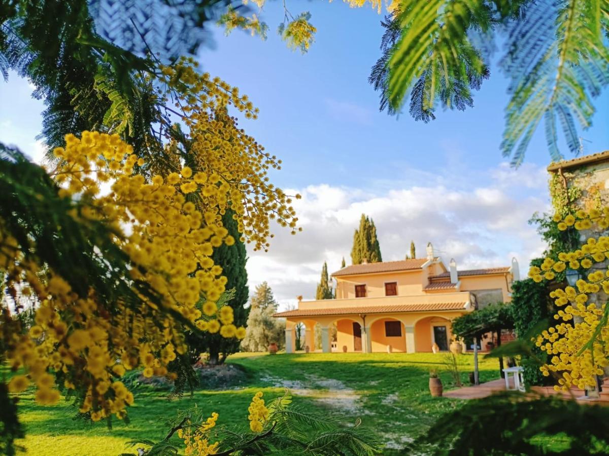 La Doganella Villa Pitigliano Exterior foto